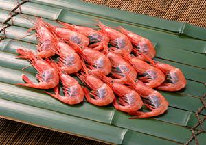 東京国際フォーラムで楽しむシェイクシャック – 都心で味わう美味しさ