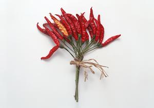 肉のギフトを通販で求めている人に