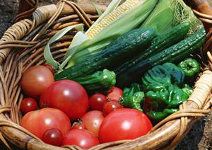 居酒家 土間土間 大宮東口店の魅力を徹底解説