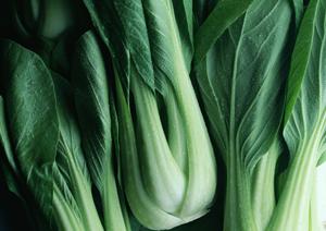 銀座の絶品フレンチを徹底ガイド2025年版：知る人ぞ知る名店とおすすめコース