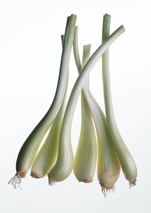 究極のステーキ完全ガイド2026：美味しさと調理法で差がつくおすすめレシピ