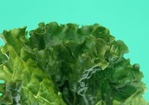 名古屋駅周辺の絶品中華料理ランキング2026：地元民おすすめの必食店と最新グルメ情報